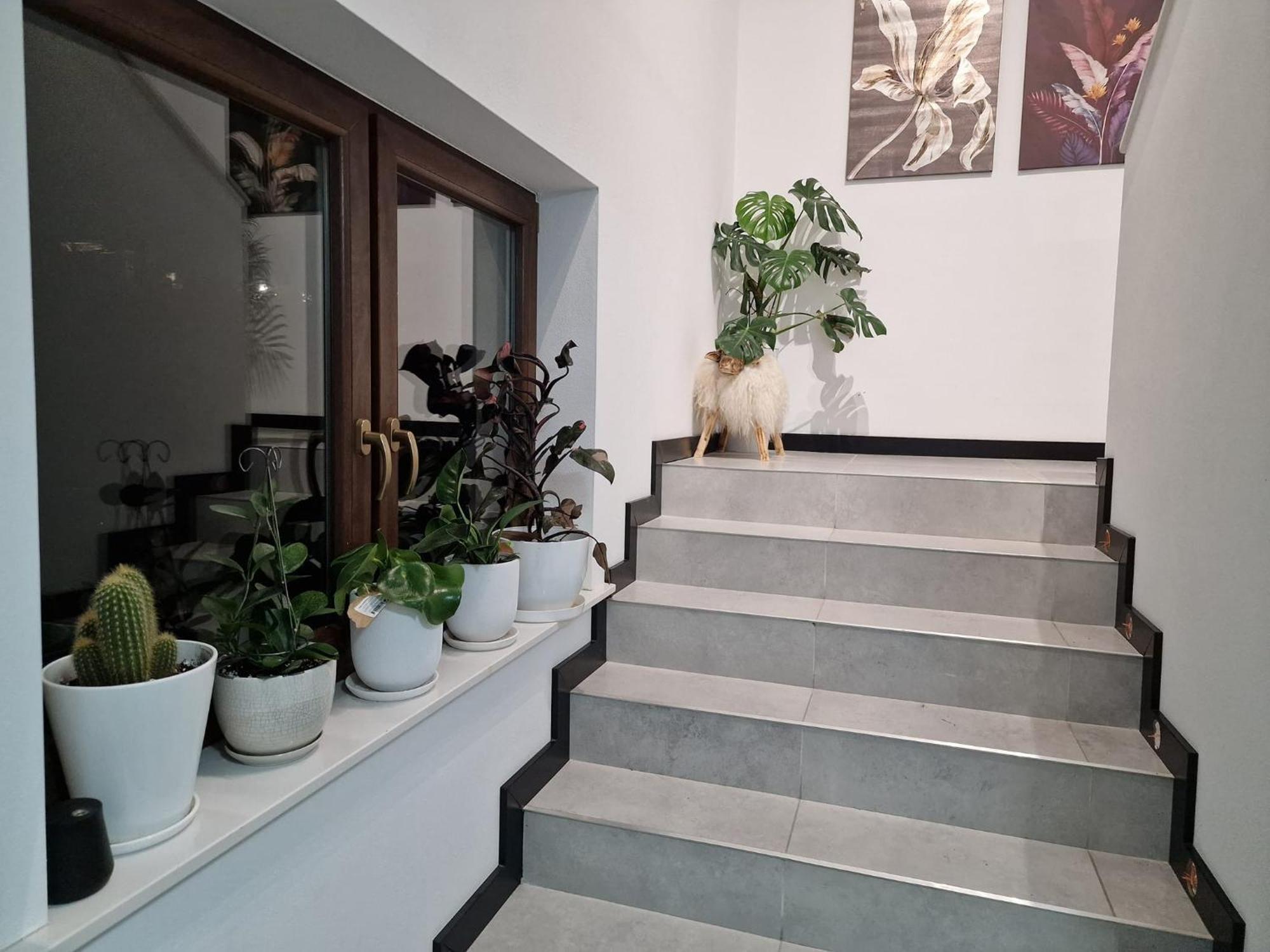 Male Ciche 36J Przy Ostrewkach, Widok Na Gory, Blisko Do Wyciagu Narciarskiego, Idealne Miejsce Na Wypad W Gory -Tarasowka-Zgorzelisko-Rusinowa Polana-Gesia Szyja-Palenica-Wiktorowki-Morskie Oko 무르자시츨 외부 사진